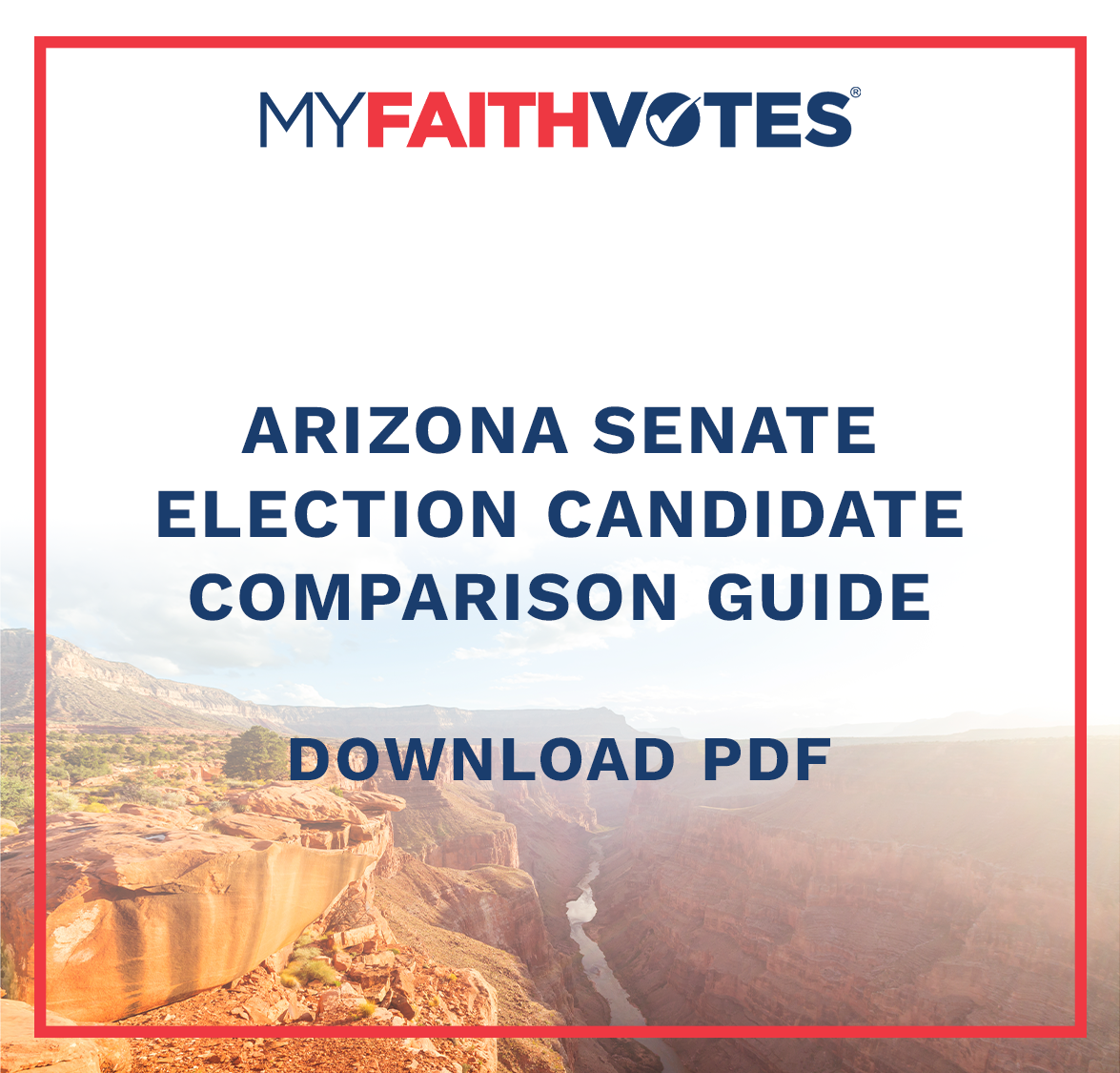 Arizona Senate Election